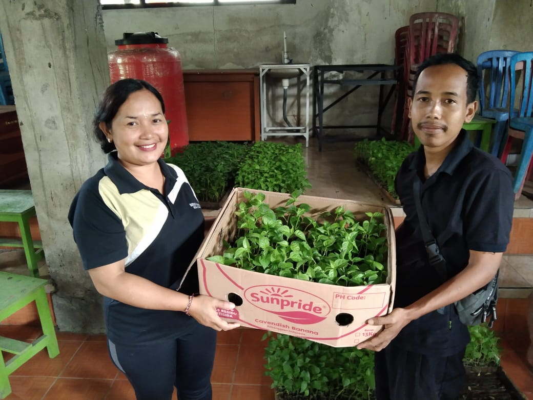 Bantuan Bibit Cabai Dalam Rangka Pengendalian Infllasi Harga Pangan